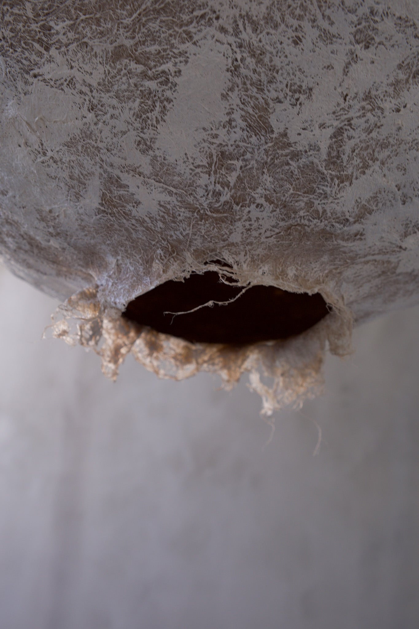 Svitylo – Large - PletoStudio