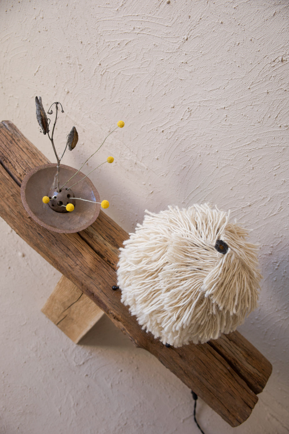 Gunya mini - PletoStudio