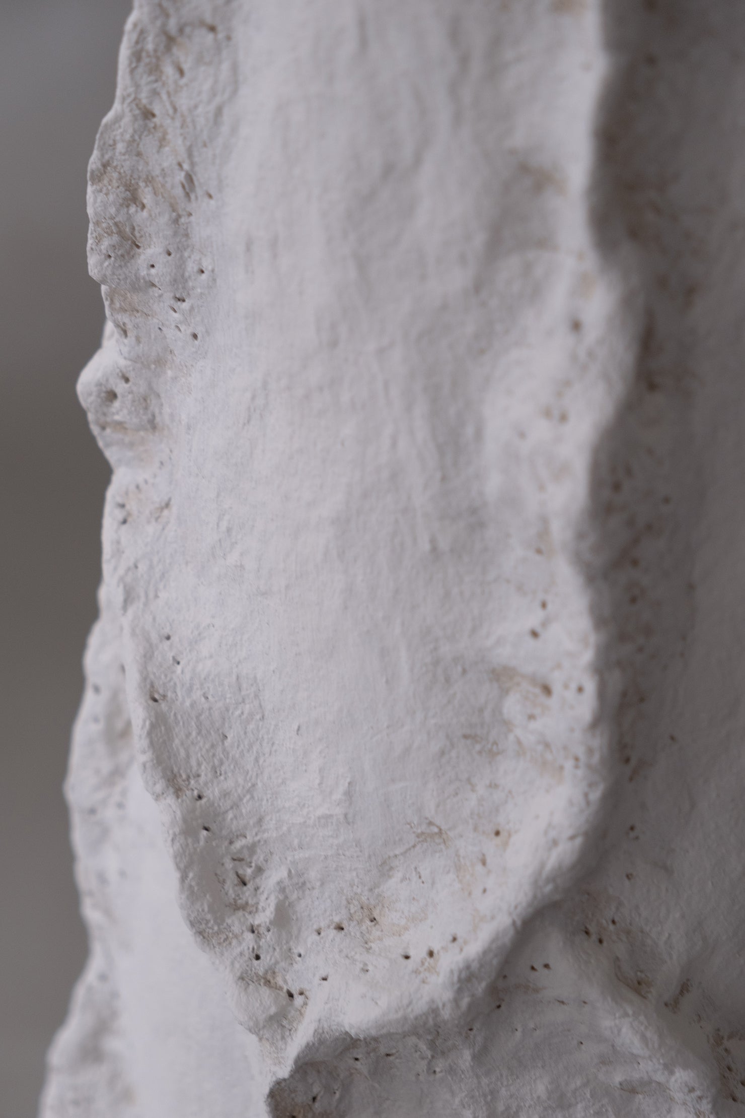 Sea Star - PletoStudio