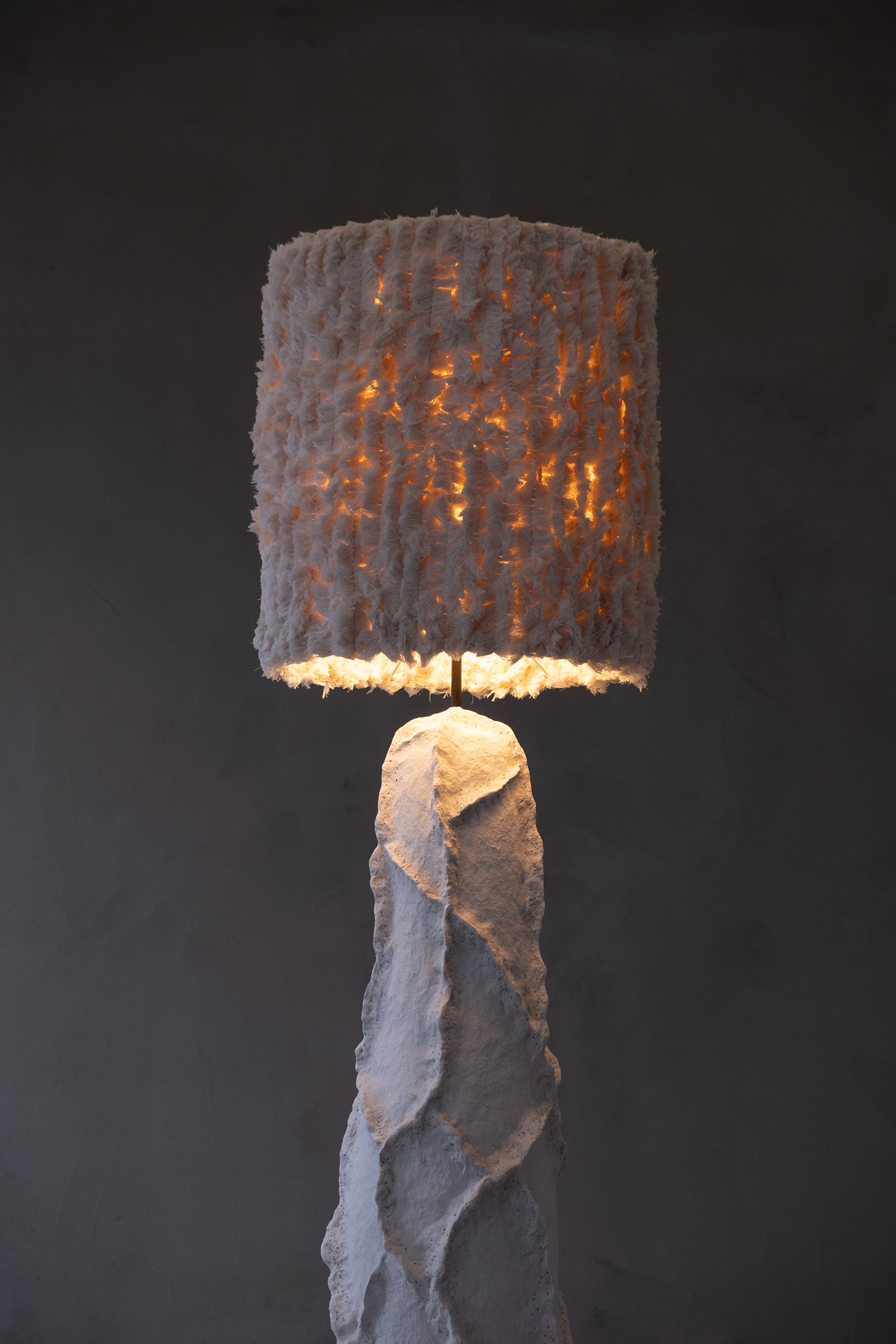 Sea Star - PletoStudio