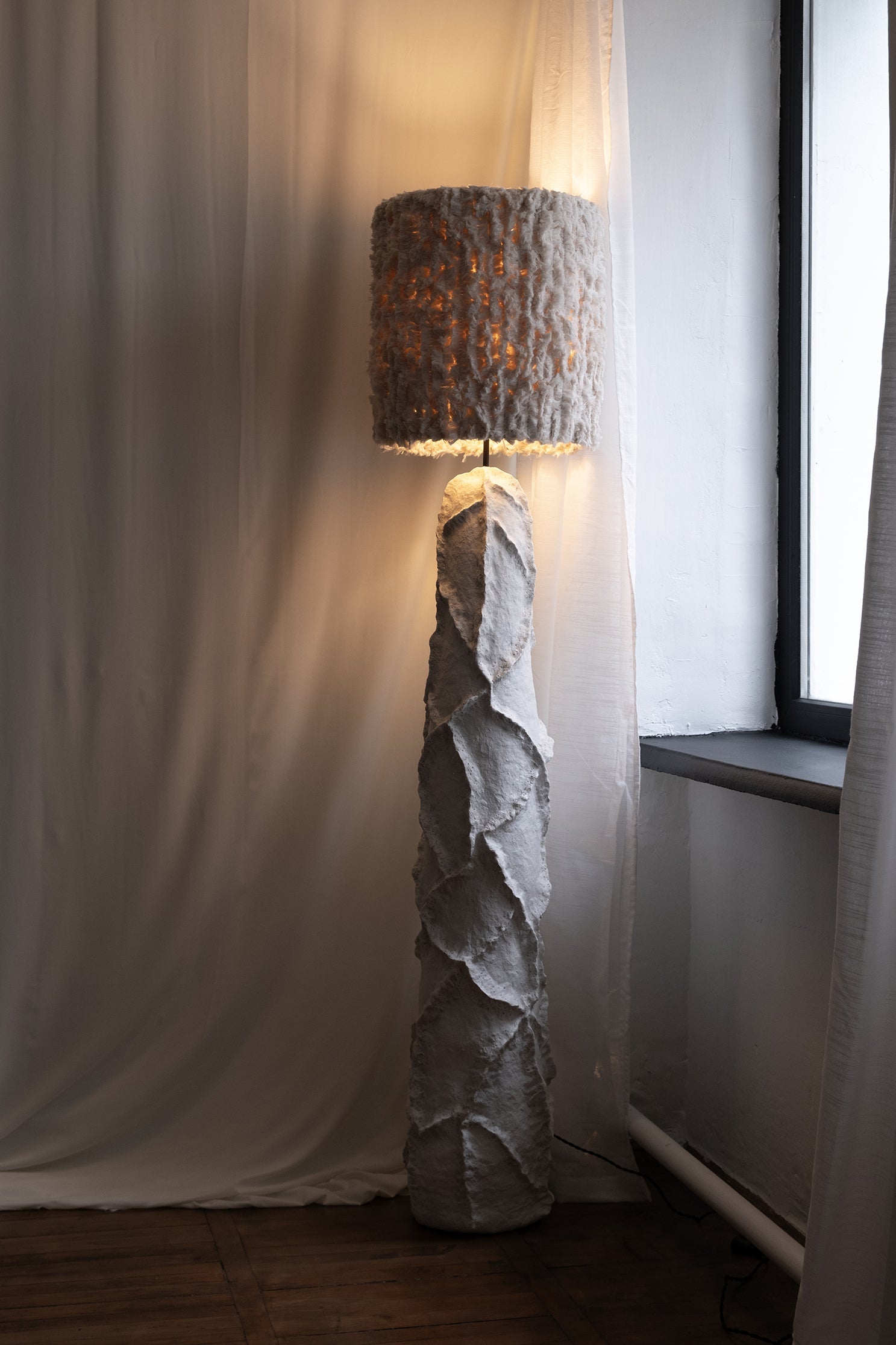 Sea Star - PletoStudio