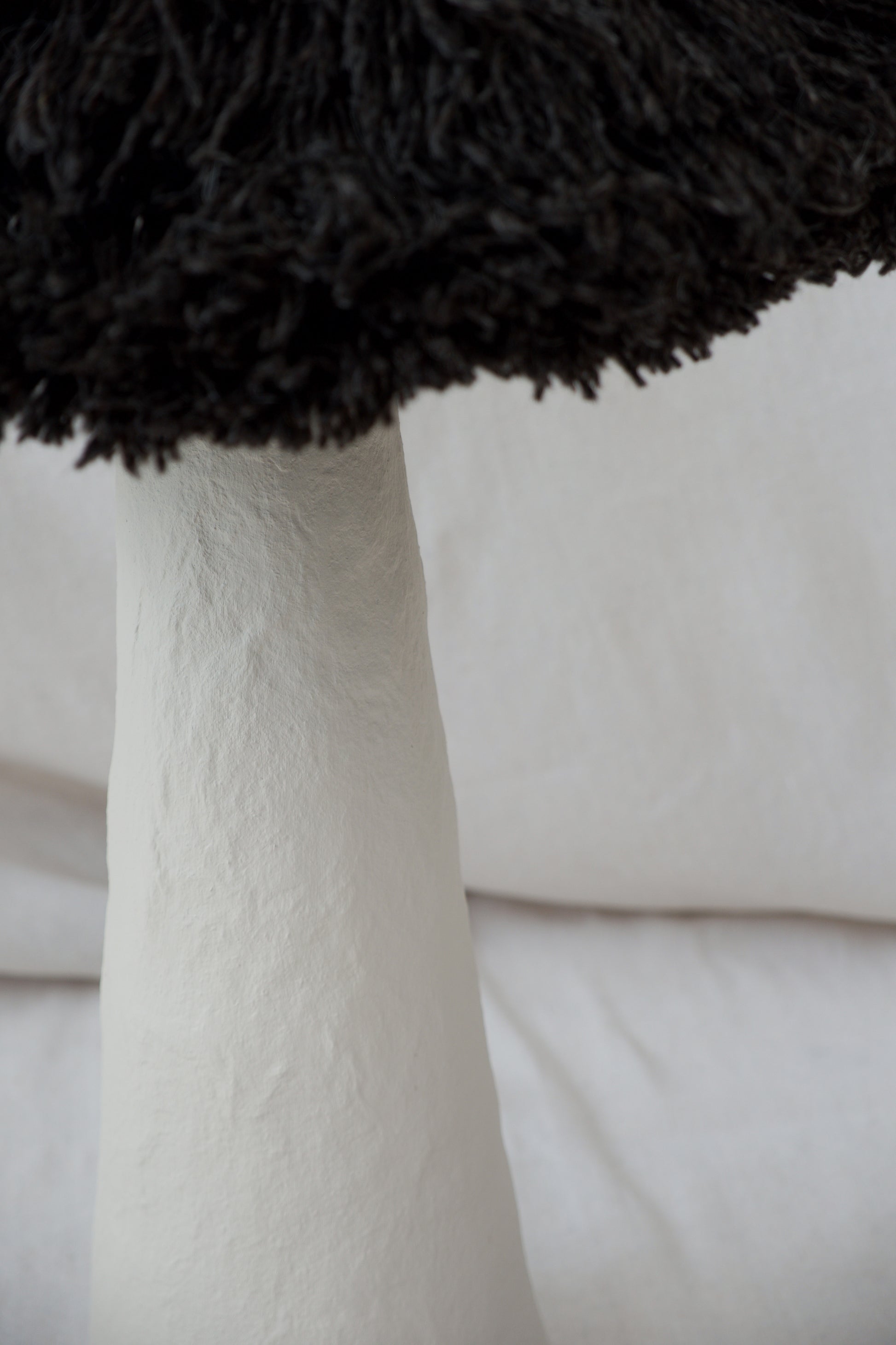 Black Wool - PletoStudio