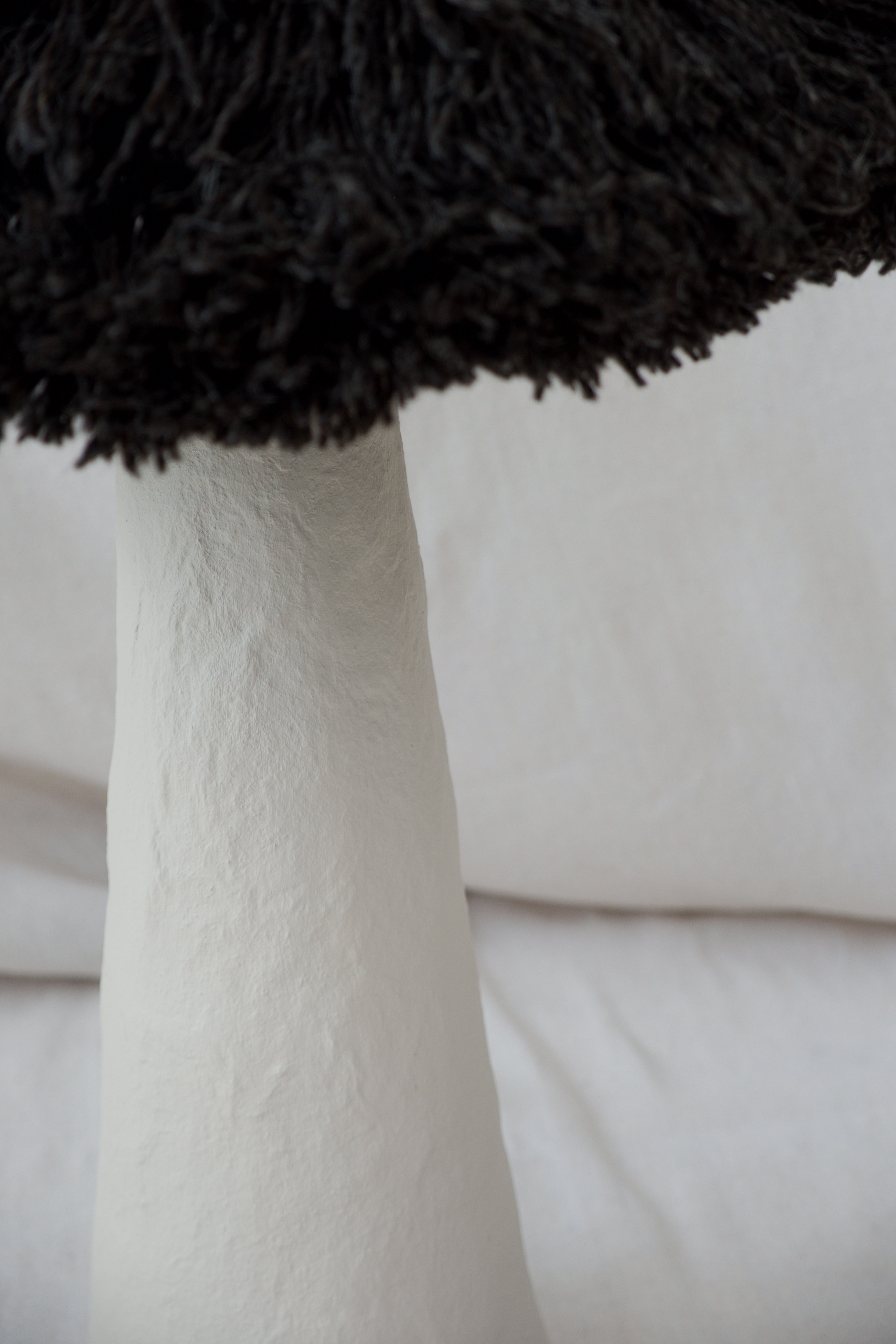 Black Wool - PletoStudio