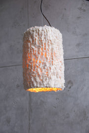 Floccus L - PletoStudio